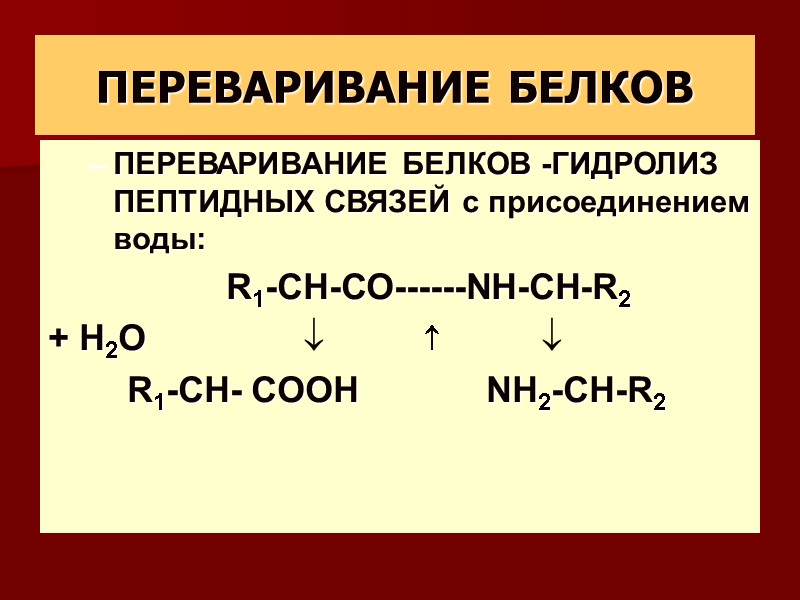 ПЕРЕВАРИВАНИЕ БЕЛКОВ ПЕРЕВАРИВАНИЕ БЕЛКОВ -ГИДРОЛИЗ ПЕПТИДНЫХ СВЯЗЕЙ с присоединением воды:    